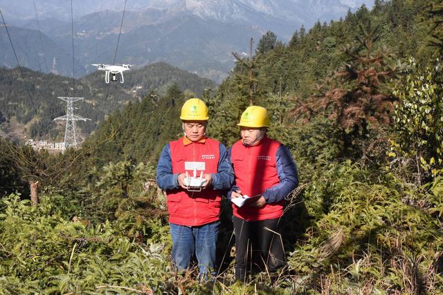 遂川縣供電公司采用無(wú)人機(jī)巡檢效率顯著提升(圖1)